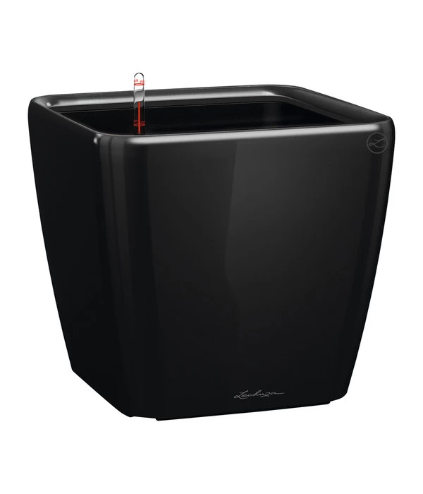 LECHUZA® QUADRO LS, All-in-One-Set 3 LECHUZA® QUADRO LS, All-in-One-Set