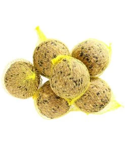 Dehner Natura Riesen-Meisen-Knödel 9 Dehner Natura Riesen-Meisen-Knödel -Freien Garten Geschäft 5450465 WE D 001 DehnerNaturaRiesenMeisenKnoedel6Stueck