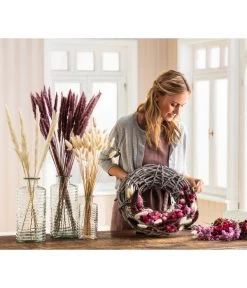 Trockenblumenbund Pampasgras 7 Trockenblumenbund Pampasgras -Freien Garten Geschäft 6272587 WE MO 001 PampasgrasMauve Hasenschwanzgras