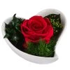 Dehner Herzschale Mit Longlife-Rose Lena, Ca. B12/H8 Cm -Freien Garten Geschäft 6380901 WE FS 004 LLHerzLenaROT
