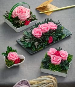 Dehner Keramik-Schale Mit Longlife-Rose Dita, Rosa, Ca. B10/H11/T10 Cm -Freien Garten Geschäft 6380927 6537641 6537716 6537708 WE MO 001 LonglifeArrangements