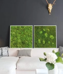 StyleGREEN Bild Aus Wald- Und Kugelmoos, Quadratisch, Ca. B80/H80/T7 Cm -Freien Garten Geschäft 6430649 WE MO 002 Wald Kugelmoosbild80x80cmStylegreen
