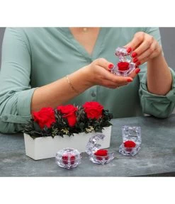 Dehner Keramik-Jardiniere Mit Longlife-Rose Elen, Rot, Ca. B23/H11/T7 Cm -Freien Garten Geschäft 6537724 WE MO 001 LonglifeArrangementElenRot ImageBild Content