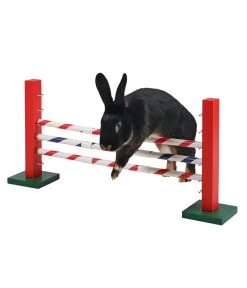 KERBL Agility Nagerspielzeug Steilsprung, Ca. B70/H35/T5 Cm -Freien Garten Geschäft 6603179 WE MO 002 AgilitySeilsprungNager