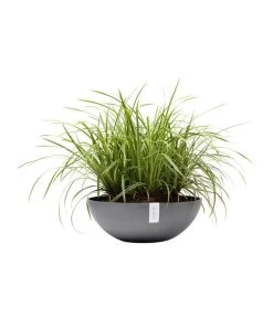 Ecopots Kunststoff-Topf Vienna, Rund, Grau, Ca. Ø50/H18 Cm -Freien Garten Geschäft 6614457 WE FS 003 EcopotsKunststoffTopfViennarundgrau