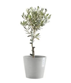 Ecopots Kunststoff-Topf Amsterdam Mit Wassersystem, Rund, Hellgrau -Freien Garten Geschäft 6614846 WE FS 004 EcopotsKunststoffTopfAmsterdammitWassersystemrundhellgrau