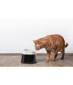 SAVIC Wassernapf Ergo Cube, Ca. B22/T22/H16 Cm -Freien Garten Geschäft 6628093 WE MO 001 SavicErgoCubWassernapf