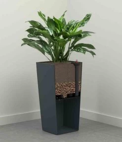 Siena Garden Kunststoff-Topf Lyon, Konisch, Ca. B40/H75/T40 Cm -Freien Garten Geschäft 6655377 WE DE 003 PflanzgefaessLyonAnthrazit