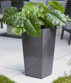 Siena Garden Kunststoff-Topf Lyon, Konisch, Ca. B40/H75/T40 Cm -Freien Garten Geschäft 6655377 WE MO 002 PflanzgefaessLyonAnthrazit