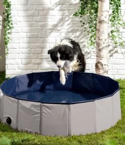 Dehner Lieblinge Hundepool Water Fun, Ca. Ø120/H30 Cm -Freien Garten Geschäft 6755532 WE MO 002 DehnerHundepoolWaterfun
