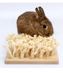 Bunny® NATURE By Puppijames Nagerspielzeug Schnüffelbrett, Ca. B24,5/H9/T24,5 Cm -Freien Garten Geschäft 6777643 WE M 002 bunnyNagerSchnueffelbrett