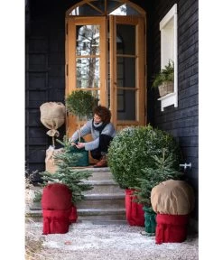 Dehner Pflanzen-Isolierfolie -Freien Garten Geschäft 6798813 WE MO 002 DehnerWinterschutzVliesRot