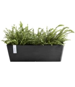 Ecopots Kunststoff-Kasten Bruges Mit Wassersystem, Rechteckig, Ca. B55/H17/T17 Cm -Freien Garten Geschäft 6850663 WE FS 002 EcopotsKunststoffKastenrechteckigdunkelgrau