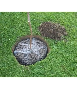 Wühlmauskorb -Freien Garten Geschäft 6920136 WE MO 002 Wuehlmauskorb