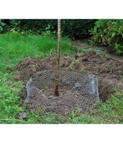 Wühlmauskorb -Freien Garten Geschäft 6920136 WE MO 003 Wuehlmauskorb