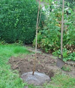 Wühlmauskorb -Freien Garten Geschäft 6920136 WE MO 004 Wuehlmauskorb