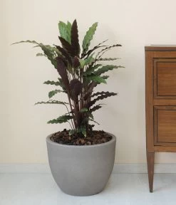 Farmet New Kunststoff-Topf Orione, Rund, Inkl. Untersetzer -Freien Garten Geschäft 6965305 WE MO 001 FarmetNewKunststoffTopfOrionerund