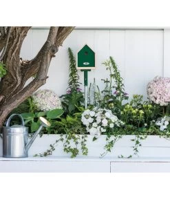 Dehner Natura Nistkasten CLiCK, Ca. B17/H22,5/T12 Cm -Freien Garten Geschäft 6968333 WE MO 002 NaturaClickNistkasten