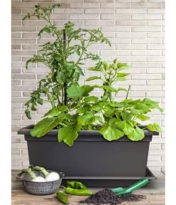 Magnus Kunststoff-Blumenkasten, Rechteckig. Ca. B98/H37/T38 Cm -Freien Garten Geschäft 6997449 WE MO 003 MagnusKunststoffBlumenkastenschwarz