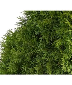 3 Meter Lebensbaum 'Smaragd', 6 X Ca. 125-150 Cm 11 3 Meter Lebensbaum 'Smaragd', 6 X Ca. 125-150 Cm -Freien Garten Geschäft 7513534 WE DE 001 ThujaLebensbaumOccidentalisSmaragd20LDehnerExpressHerzig 1