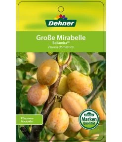Dehner Mirabelle 'Bellamira' -Freien Garten Geschäft 7611163 GrosseMirabelleBellamira Etikett 1