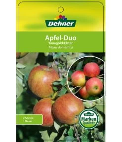 Apfel-Duo 'Jonagold'/'Elstar' -Freien Garten Geschäft 7639248 Apfel DuoJonagoldElstar Etikett 1