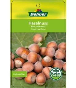 Dehner Haselnuss 'Rote Zellernuss' 14 Dehner Haselnuss 'Rote Zellernuss' -Freien Garten Geschäft 7663073 HaselnussRoteZellernuss Etikett 1