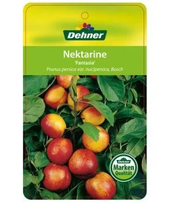 Nektarine 'Fantasia' -Freien Garten Geschäft 7720170 NektarineFantasia Etikett 1