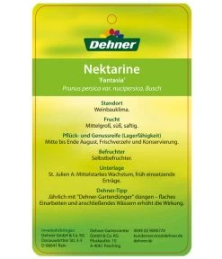 Nektarine 'Fantasia' -Freien Garten Geschäft 7720170 NektarineFantasia Etikett 2