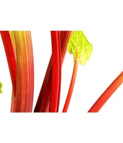 Dehner Gourmet Garten Himbeer-Rhabarber -Freien Garten Geschäft 7736028 PR DE 002 RhabarberHimbeere2LiterDehnerExpressHerzig