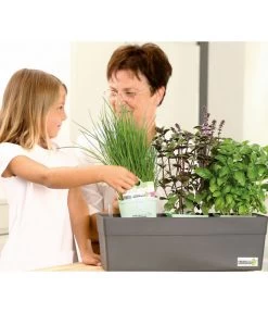 GREENBAR® Naschtomate -Freien Garten Geschäft 7750482 WE MO 009 GreenbarAnleitungIndoor