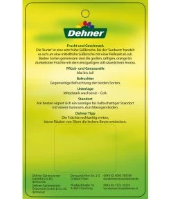 Kirschen-Duo 'Sunburst/Burlat' -Freien Garten Geschäft 7760713 Suesskirschen DuoSunburstBurlat Etikett 2