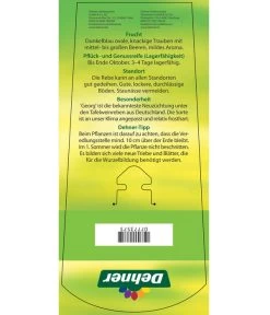 Tafeltraube 'Georg' -Freien Garten Geschäft 7773575 TafeltraubeGeorg Etikett 2