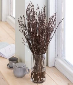 Sumpfkätzchen-Bund, Ca. 80-100 Cm 8 Sumpfkätzchen-Bund, Ca. 80-100 Cm -Freien Garten Geschäft 8149254 WE MO 001 SumpfkaetzchenHandbund