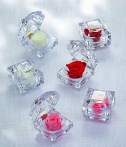 Longlife-Rose In Juwelenbox, Ca. Ø3,5 Cm -Freien Garten Geschäft 8167413 8170573 8167041 WE MO LonglifeZinaRosa