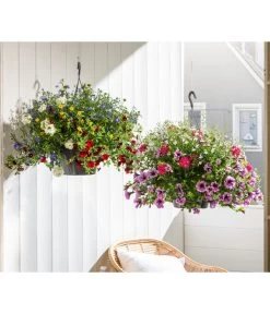 Blumenampel, Verschiedene Sorten -Freien Garten Geschäft 8602864 WE MO 002 KombiampelT27