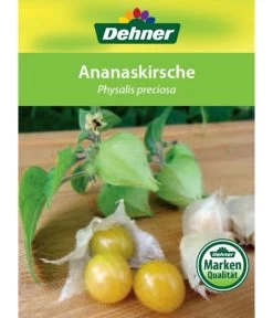 Dehner Ananaskirsche Physalis 14 Dehner Ananaskirsche Physalis -Freien Garten Geschäft 8830069 Ananaskirsche Etikett 1