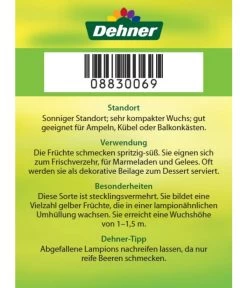 Dehner Ananaskirsche Physalis 15 Dehner Ananaskirsche Physalis -Freien Garten Geschäft 8830069 Ananaskirsche Etikett 2