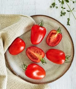 Bioland Eiertomate -Freien Garten Geschäft 8831463 WE MO 001 BiolandEiertomate