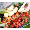 TomTato® Tomatenkartoffel -Freien Garten Geschäft 8832859 WE MO 0011 TomtatoTomoffel