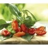 Chili 'Habanero', Orange -Freien Garten Geschäft 8833543 WE MO 001 PeperoniHabaneroPeperoniHabanero 1