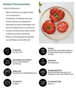 Bioland Fleischtomate -Freien Garten Geschäft 8842627 WE IG 001 BiolandFleischtomate