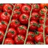 Bioland Cherrytomate -Freien Garten Geschäft 8842635 WE DE 001 Bio Cherrytomate