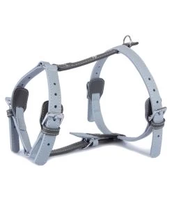 Das Lederband Hundegeschirr Style Amsterdam Ice/Lava