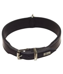 HUNTER® Hundehalsband Basic, Schwarz