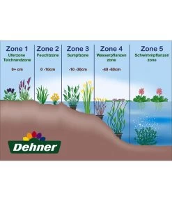 Echter Baldrian -Freien Garten Geschäft WE DE 001 Teichzonen Wasserpflanzen Schild 2