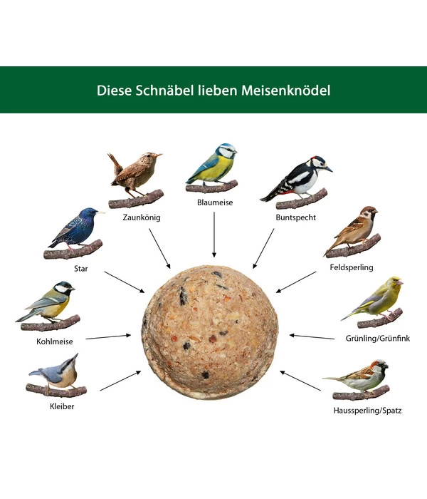 Dehner Natura Wildvogelfutter Meisen-Knödel, Mit Netz 4 Dehner Natura Wildvogelfutter Meisen-Knödel, Mit Netz – Bild 2