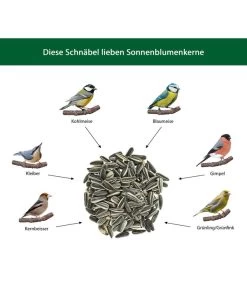 Dehner Natura Sonnenblumenkerne -Freien Garten Geschäft WE IG 001 DehnerNaturaWelcherVogelfrisstSonnenblumenkerne
