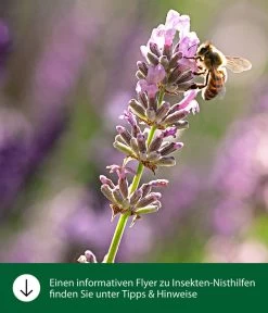 Dehner Natura Insektenhotel Padua 11 Dehner Natura Insektenhotel Padua -Freien Garten Geschäft WE IG FlyergrafikDehnerNaturaInsektenhotelsNisthilfen