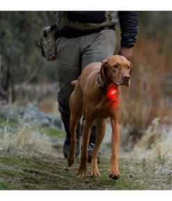 RUFFWEAR® Hunde-Sicherheitsleuchte THE BEACON™ -Freien Garten Geschäft X004449468 WE M 002 RUFFWEARHundeSicherheitsleuchteTHEBEACON